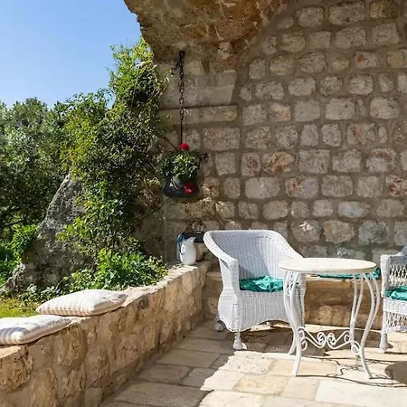 ヴィラ Heritage Bakovic *