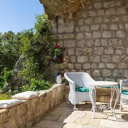 Heritage Bakovic Villa *